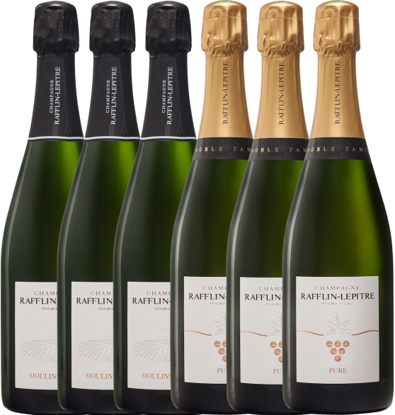 Carton Harmonie 2018