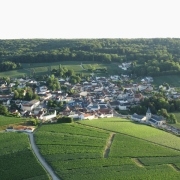 Village de Chigny-les-roses avec le vignoble autour